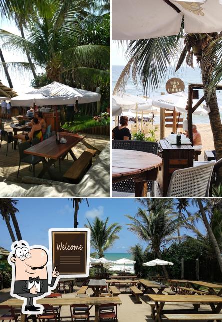 Look at this pic of O Lôro Pedra do Sal: Barraca de Praia, Restaurante, Bar, Salvador BA