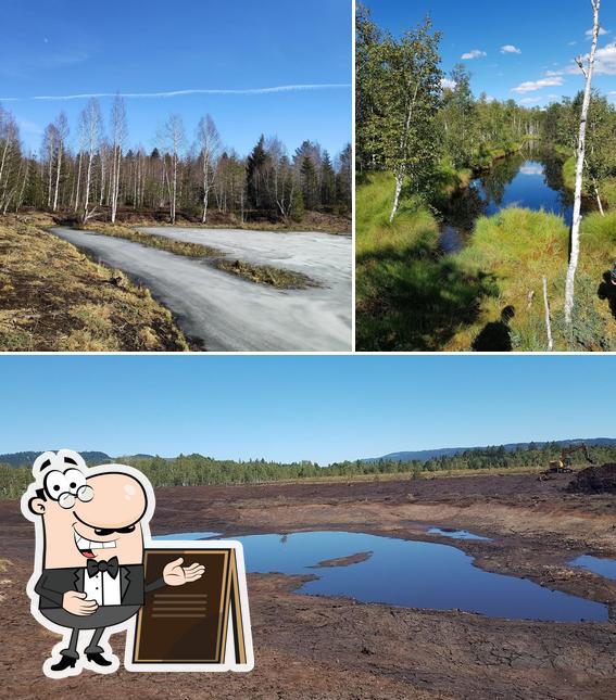 Guarda gli esterni di La cabane des Tourbiers