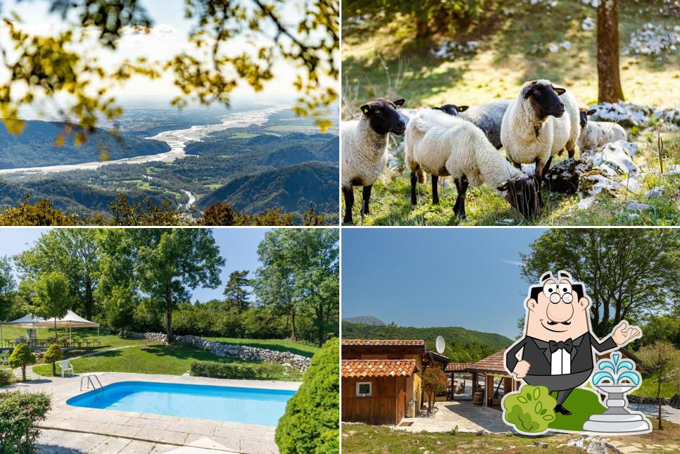 Agriturismo Fattoria Carolina