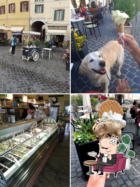 Primavera di Occasi Fabio