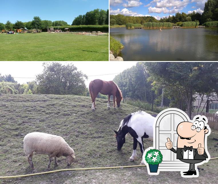 Jetez un coup d’œil à quoi ressemble Parc Galamé à l'extérieur