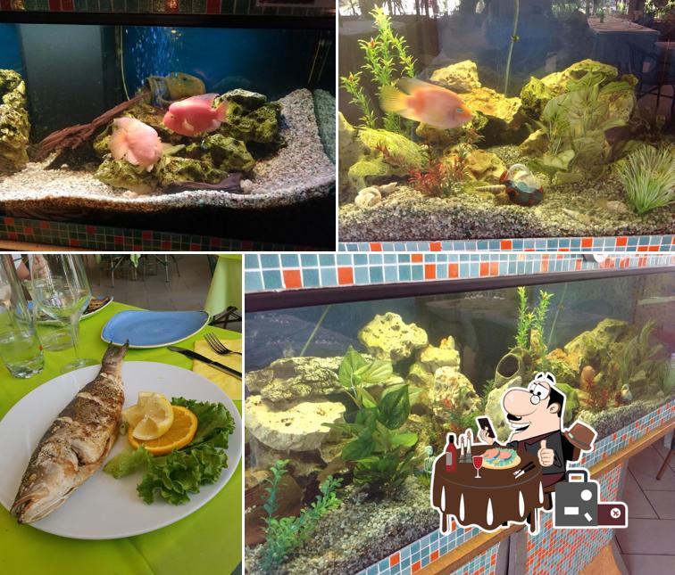 Ristorante Pizzeria La Sirena provides a variety of fish dishes