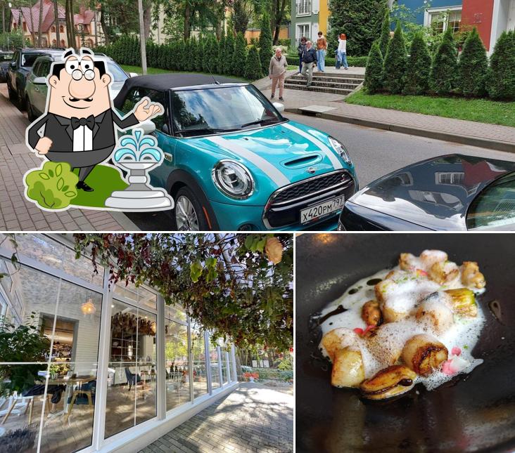Наслаждайтесь пейзажем, который открывается из "Local"
