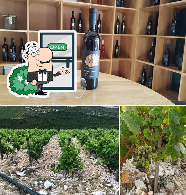 Gli esterni di Winery Terra Madre