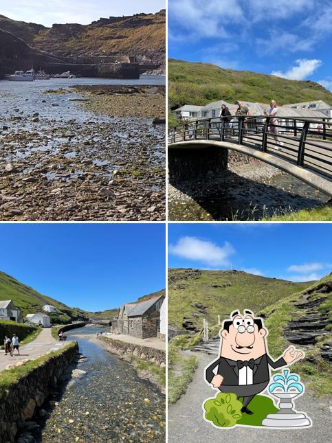 Boscastle Visitor Centre in Boscastle - Restaurant reviews