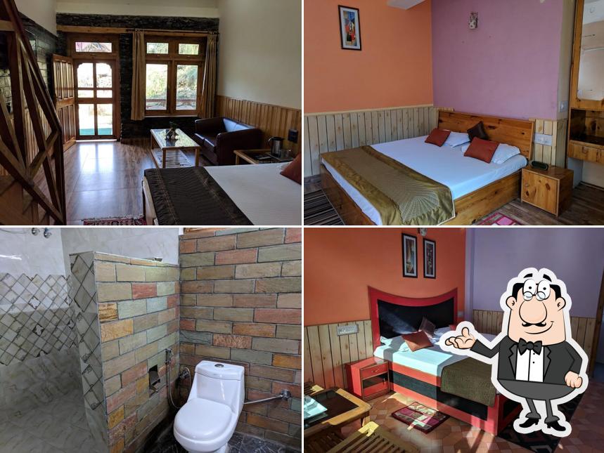 Dev Conifers Cafe & Cottages