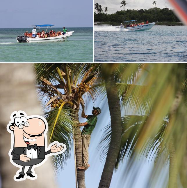 Imagen de Andy Tours Tages-Ausflüge Dom Rep / Bayahibe / Catalina / Saona / Whale Whatching