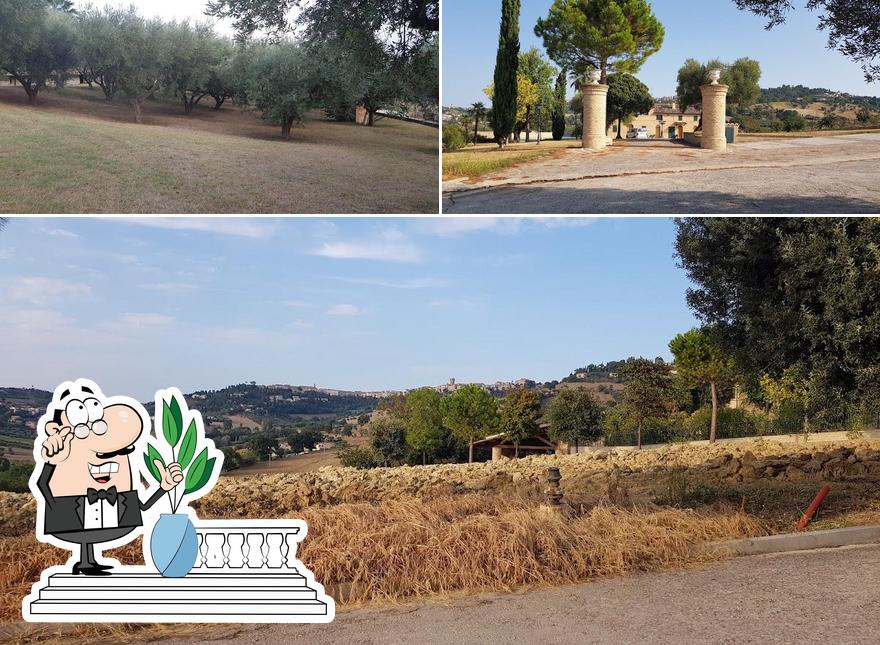 Schnappt frische Luft im Außenbereich von Ristorante Il Raggio Verde Recanati