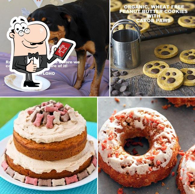 pretty paws bakery