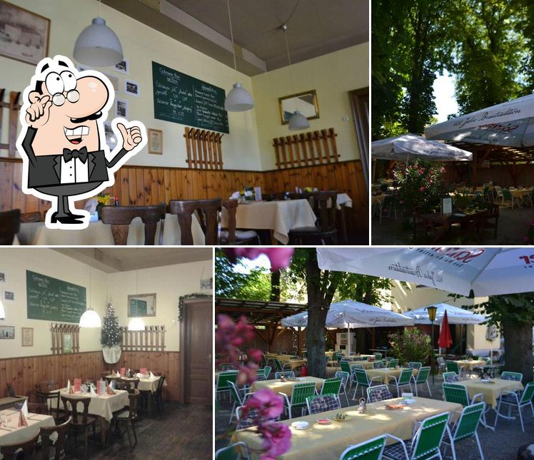 Gasthaus "Zur Linde" Korneuburg restaurant, Korneuburg Restaurant reviews