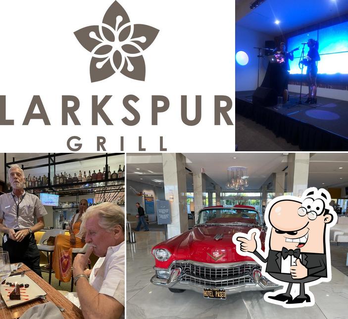 Это снимок паба и бара "Larkspur Grill"
