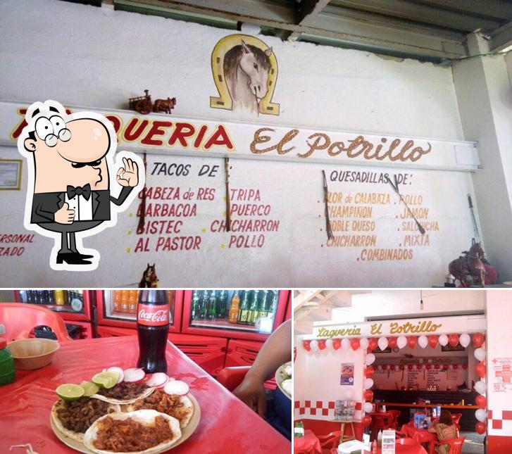 Imagen de Taqueria El Potrillo