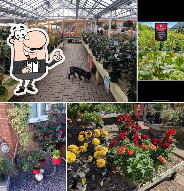 Almondsbury Garden Centre in Bristol Restaurant menu and reviews