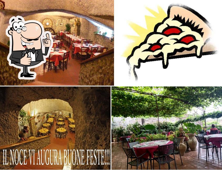 Guarda la immagine di Il NOCE Trattoria pizzeria