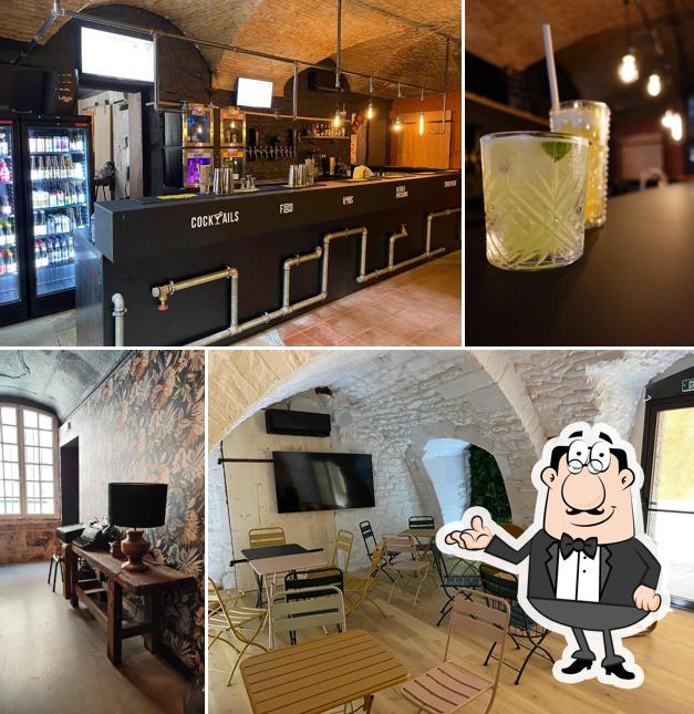 Levrette Café Nîmes