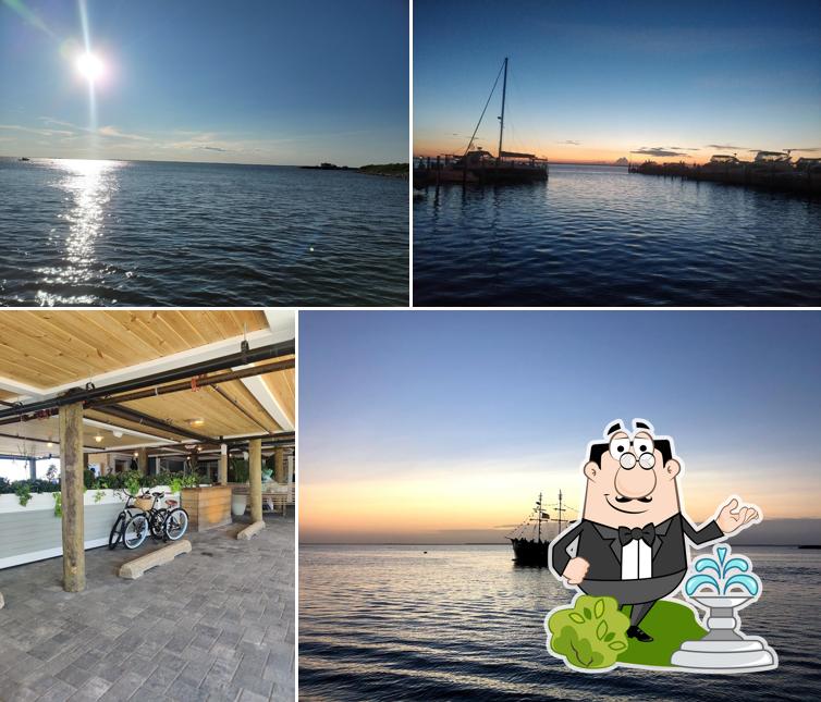 Bird and Betty's in Beach Haven Restaurant menu and reviews