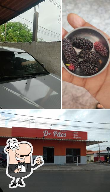 Panificadora D+ Pães