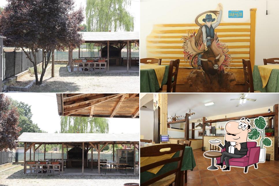Loss Ranch
