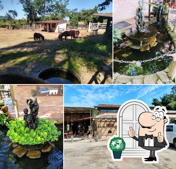 Sabor Rural