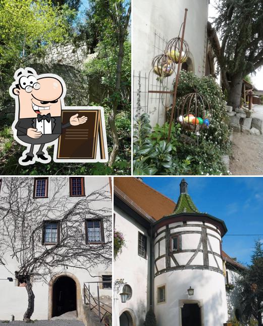 Schloss Hohenentringen