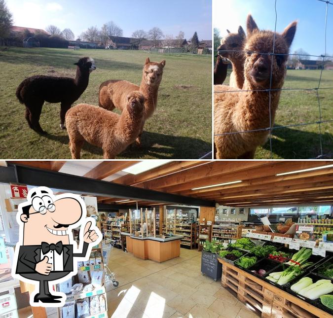 Voir cette image de Bioland Hof Bolten farm shop