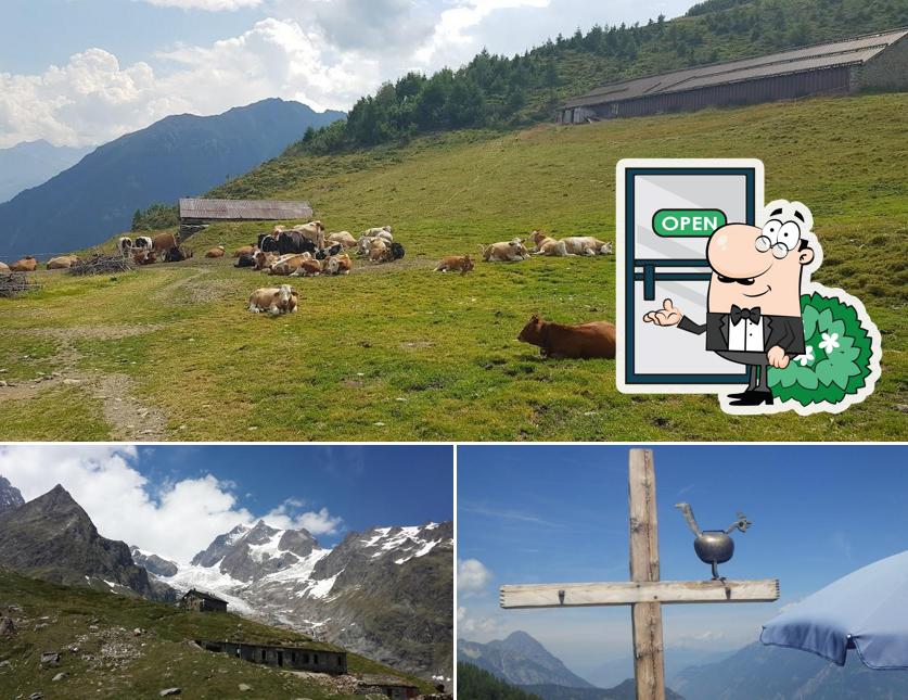 L'extérieur de Alpage de Bovine