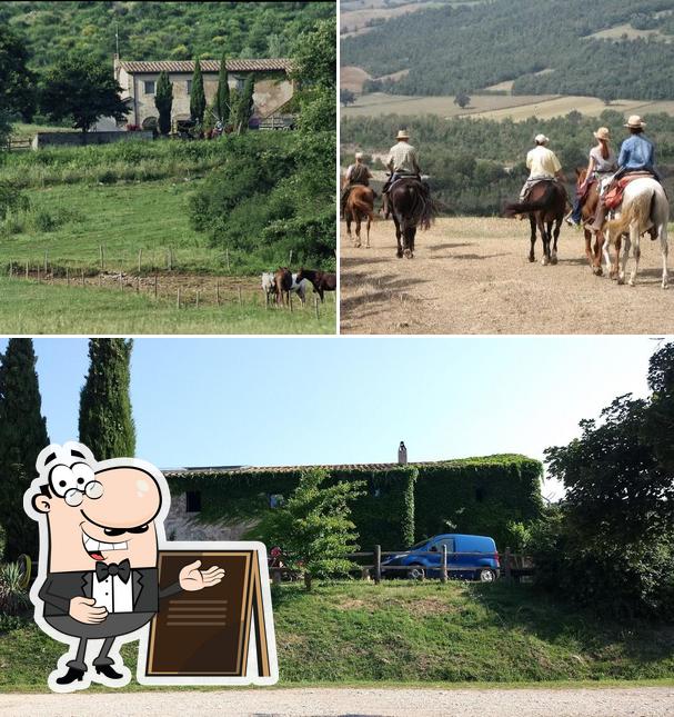 Gli esterni di Agriturismo Il Cornacchino