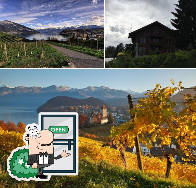 Jetez un coup d’œil à quoi ressemble Spiezer Alpine Weinkultur – Rebbau Spiez Genossenschaft à l'extérieur