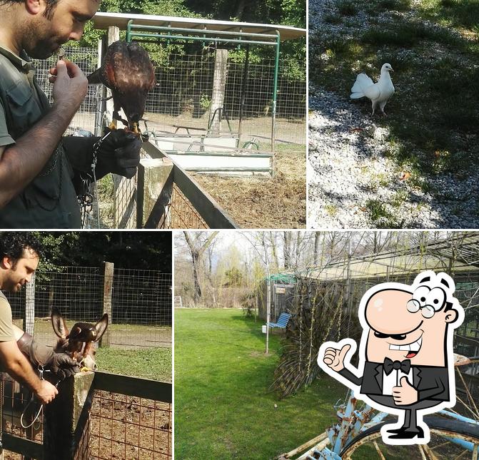 Photo de I Falconieri del Feudo