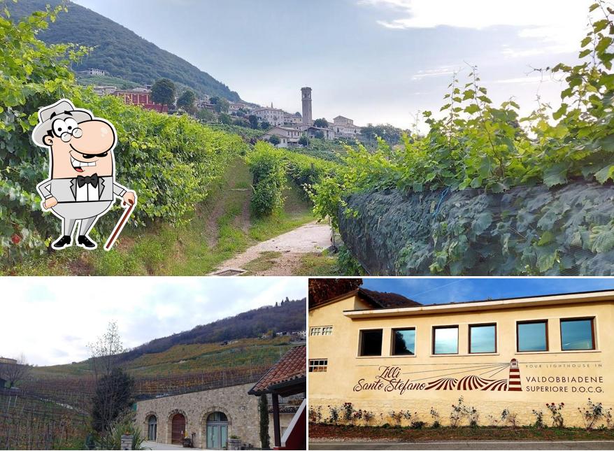 Gli esterni di Vigneto Vecio - agriturismo con cucina e alloggi