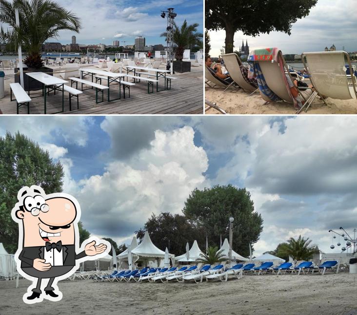 Voir l'image de km 689 Cologne Beach Club