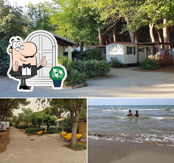 Guarda gli esterni di Camping Hawaii