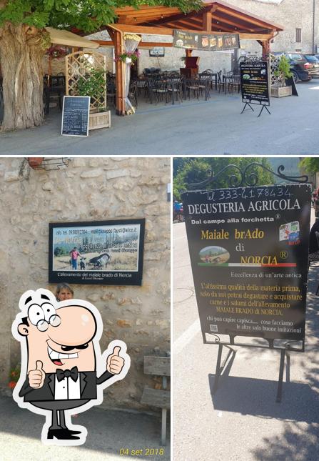 Guarda questa immagine di Maiale Brado di Norcia Ristorante