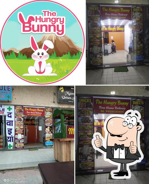 The Hungry Bunny, Faridabad - Restaurant menu, prices and reviews