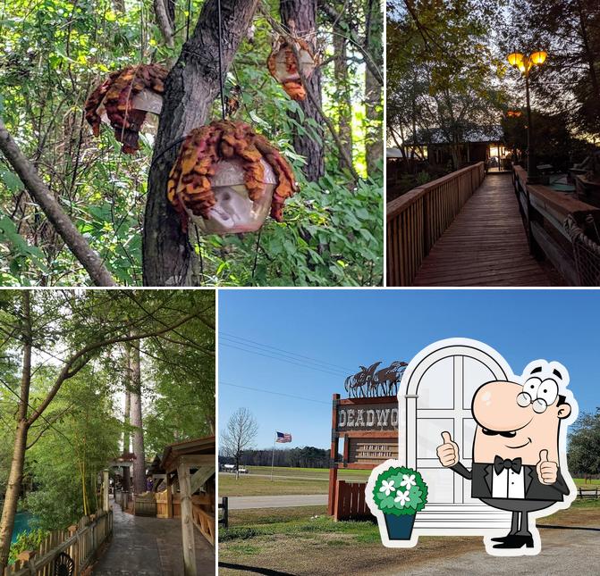 Find the best place to eat in Bear Grass, spring 2024 Restaurant Guru