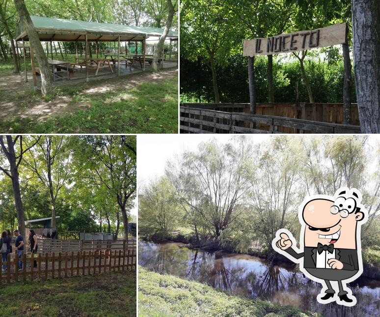 Goditi la vista dall'area esterna di Il Noceto Modena Parco Attrezzato per Grigliate Feste, Eventi