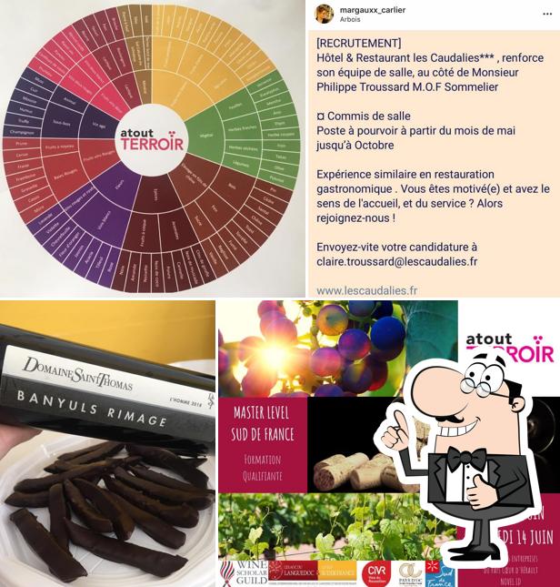 ATOUT TERROIR - Conseil, formation, prestation et animation dédiés à l'univers du vin
