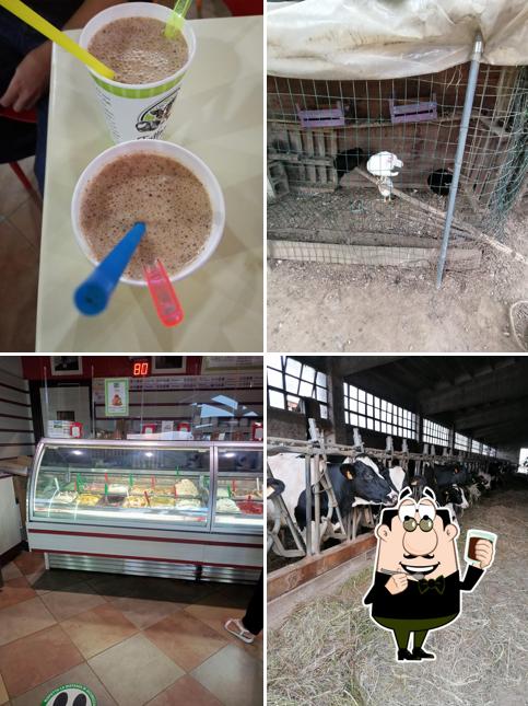 La Fattoria del Gelato