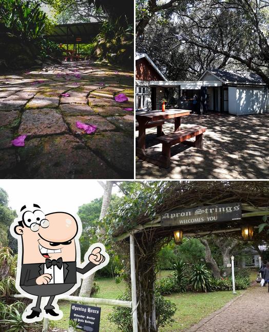 Apron Strings PE restaurant, Port Elizabeth Restaurant reviews