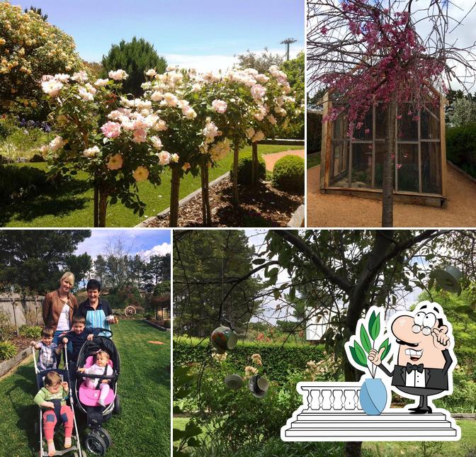 The Scented Rose Garden and Teahouse in Bywong Restaurant reviews