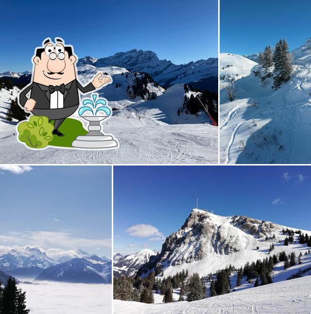 Rocco Cantina Italiana