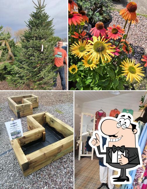 Tree Tops Nursery in Knutsford Restaurant reviews