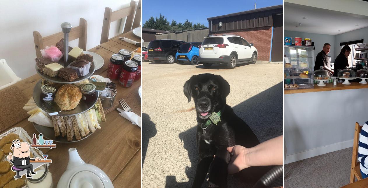 Daisy's Tea Rooms in Lewes Restaurant menu and reviews