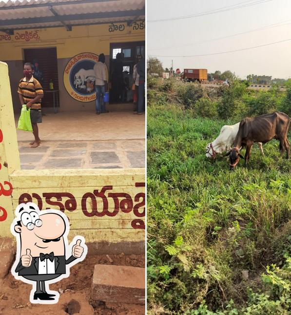 Vijaya diary