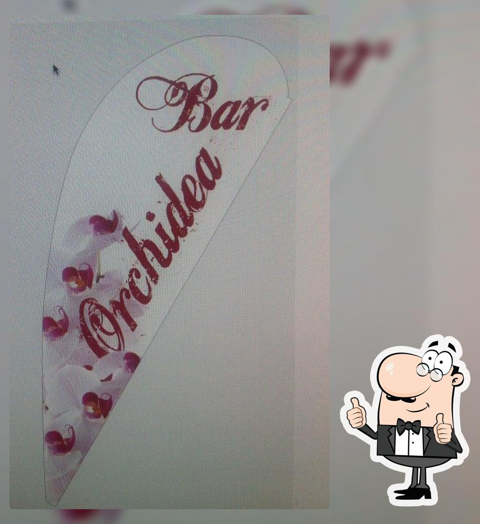 Bar Orchidea
