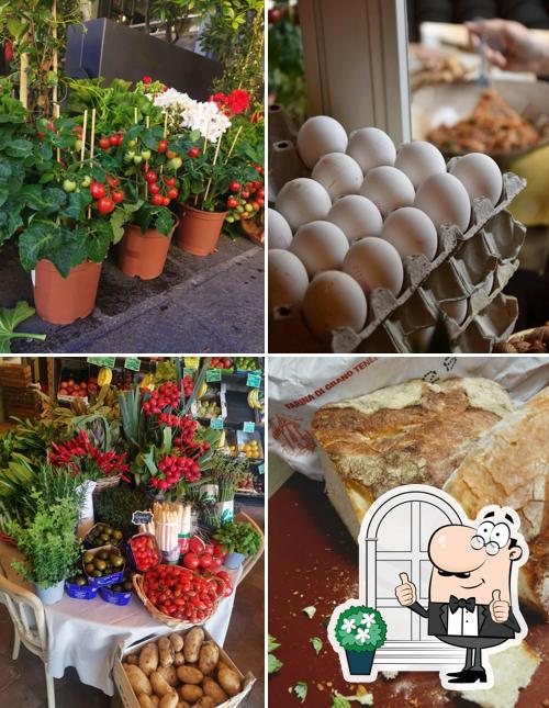 Guarda gli esterni di Brolo Milano - Orto con cucina