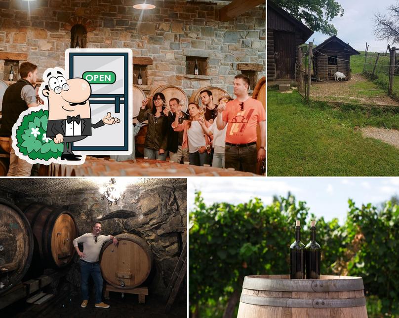 Gli esterni di Wine Tours Slovenia - Wine Tasting