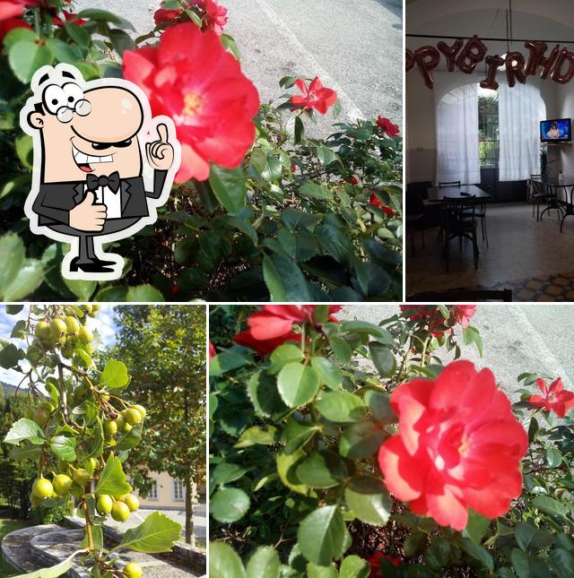 Sorelle Ferrari Snc Di Ferrari Barbara E Laura