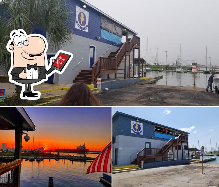 Marina Bar & Grill in Galveston Restaurant menu and reviews