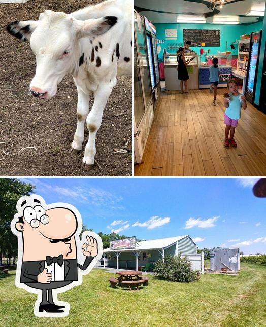 Chesapeake Bay Farms, 8905 Logtown Rd in Berlin Restaurant reviews